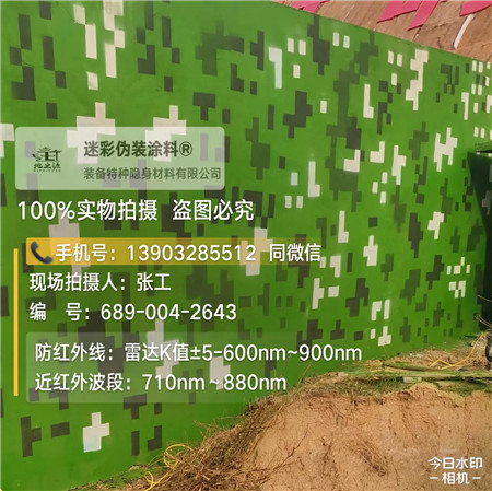 梅州星空迷彩漆，夏令营训练,数码迷彩作训墙,围墙